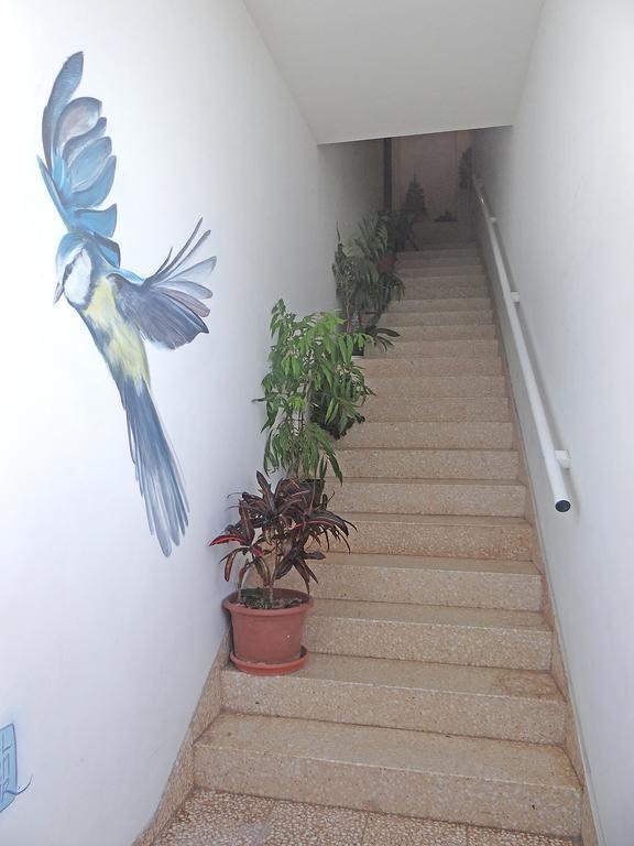 Apartamentos Dominguez Calera Exterior photo